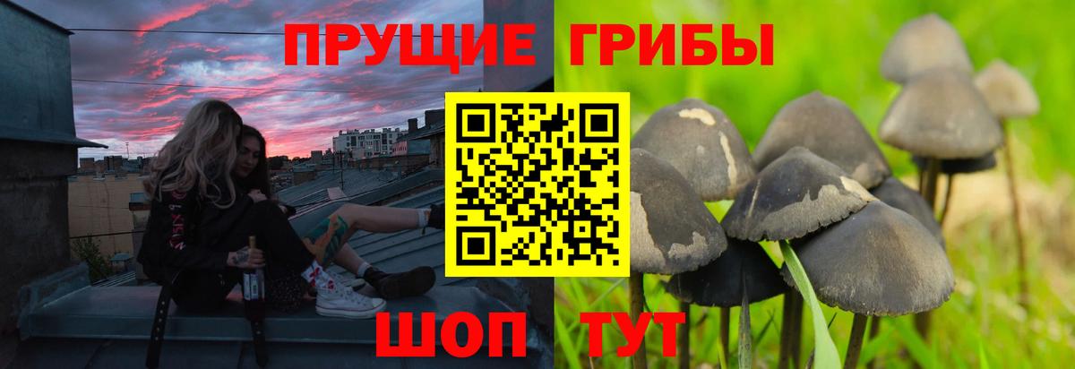 купить закладку  Вход с VPN  Зеленодольск  Псилоцибиновые грибы ЛСД  Галлюциногенные грибы мухоморы 
